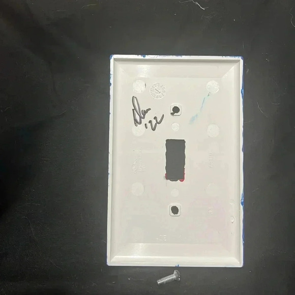 Custom Painted Light Switch Cover - Picture 3 of 3